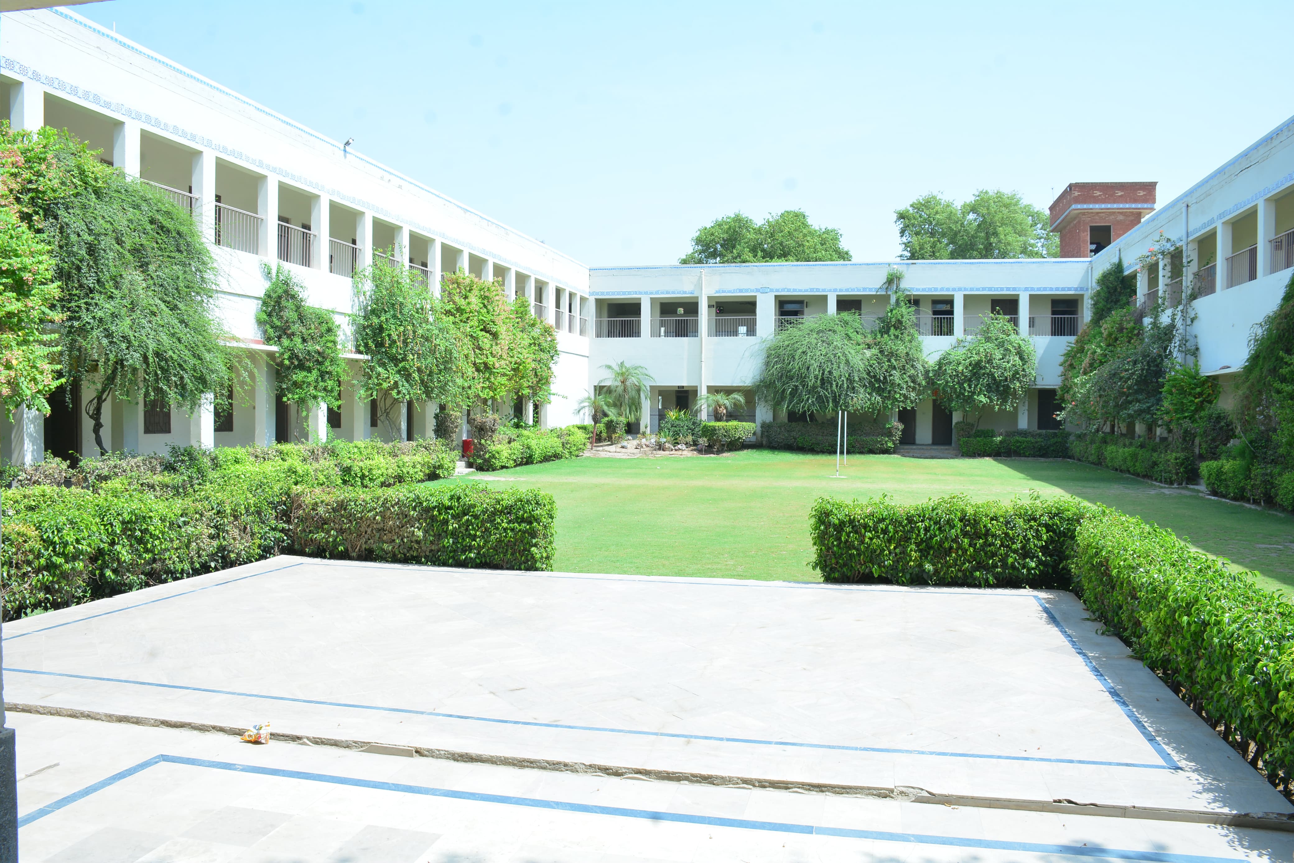 Young students learning